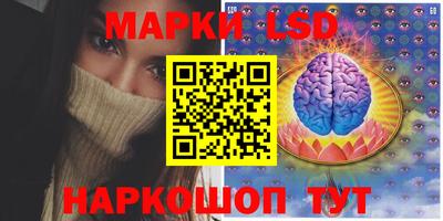 кокс Можга